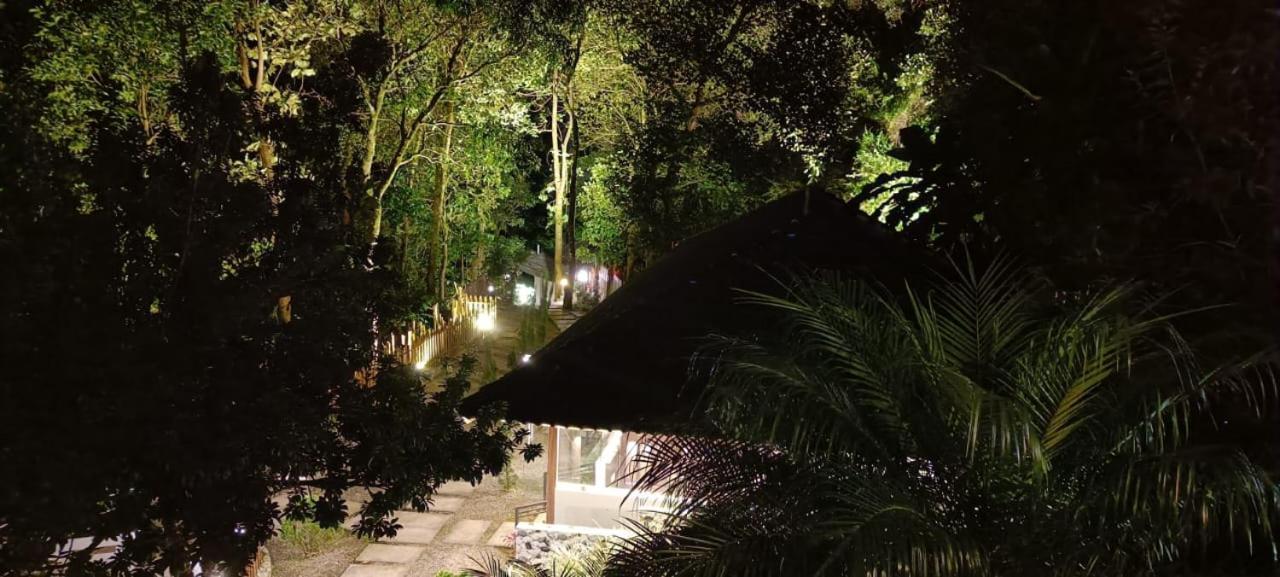 The Mountain Shades Resort マディケーリ エクステリア 写真